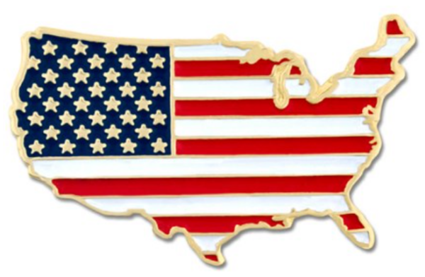 United States Shape Flag Lapel Pin
